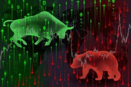 The Crypto Bull Market: A Deeper Dive into the Narrative and Its Impact on Development